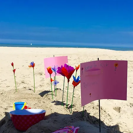 Daire Zeedijk Frontaal Zeezicht - Volledig Gerenoveerd 2022! Oostduinkerke